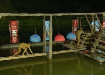 SURVIVOR 24. EPIZODA