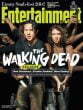 The Walking Dead Cover 2 - TVINEMANIA.RS